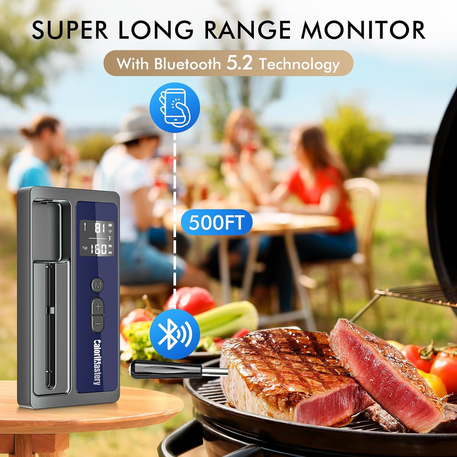 500FT Bluetooth Meat Thermomet - Digital Thermometer Probe のレビューと価格