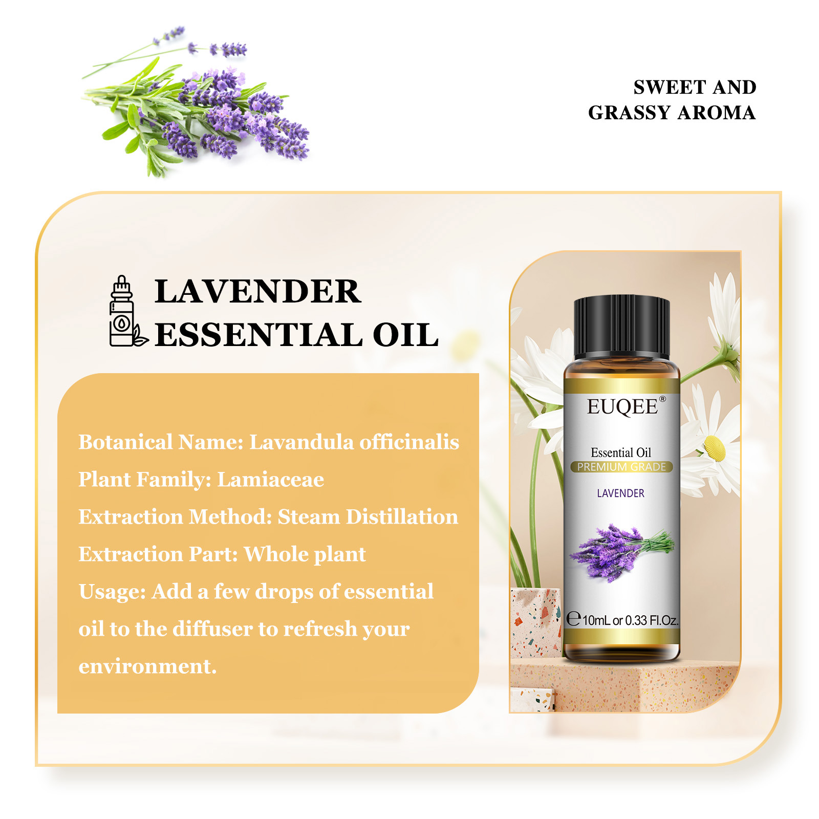 EUQEE 10ml Pure Natural Essent - Candle Making Supplies Fragrance Oils のレビューと価格