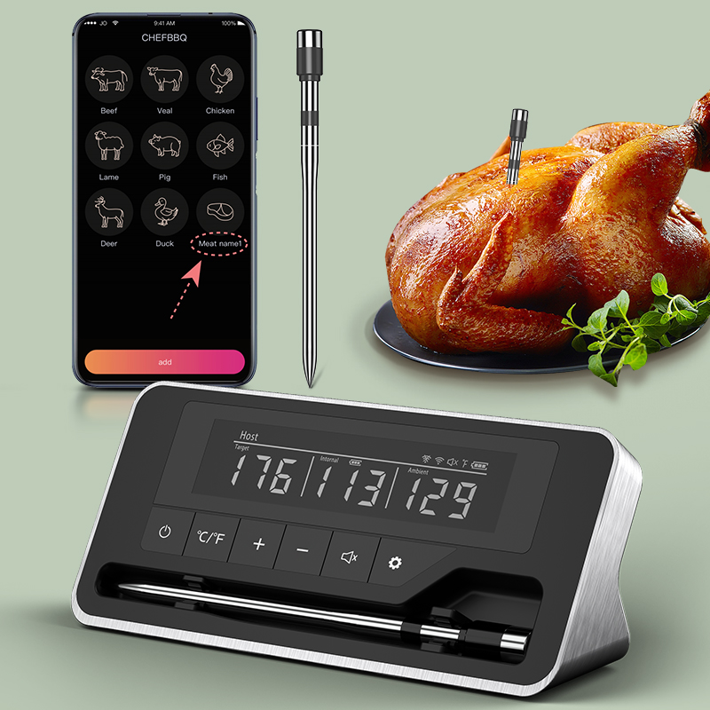 Meat Thermometer Wireless Prob - Digital Thermometer Probe のレビューと価格