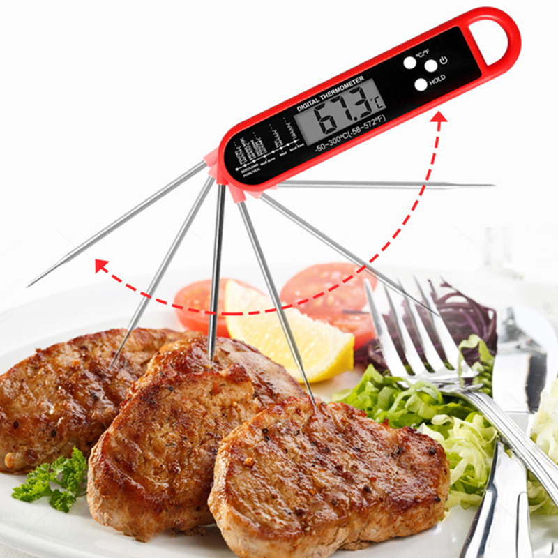 Foldable Meat Thermometer Digi - Digital Thermometer Probe のレビューと価格