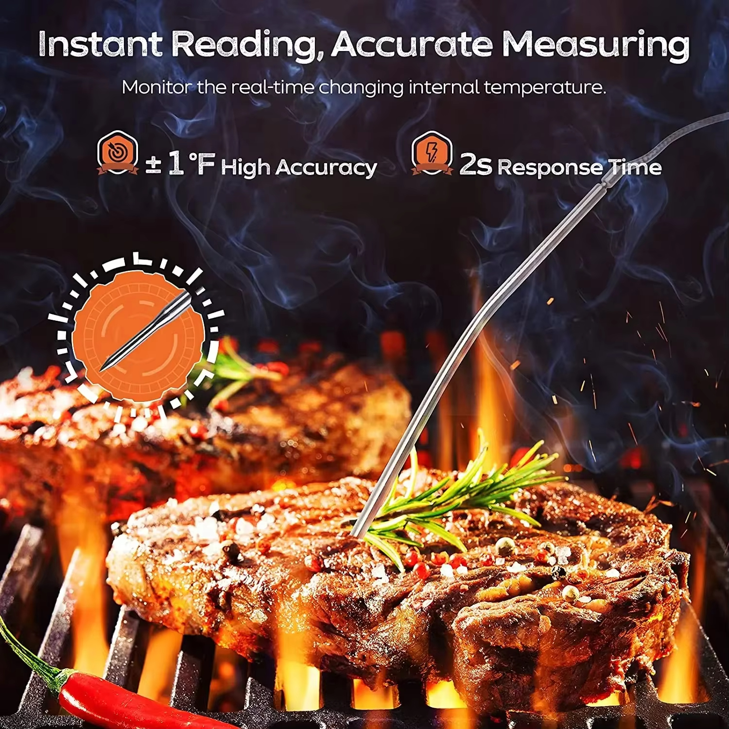 HOMEFISH Digital Meat Kitchen  - Digital Thermometer Probe のレビューと価格