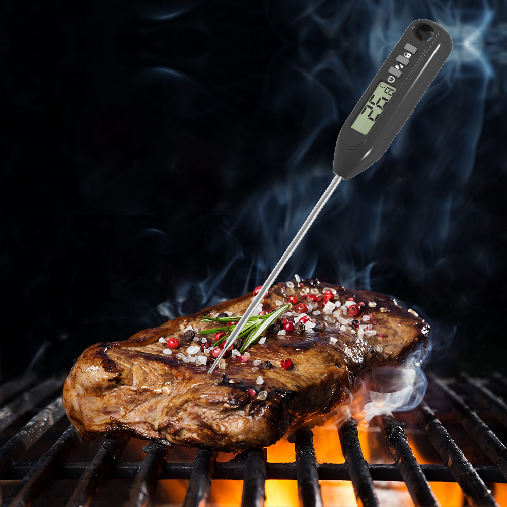 Digital Meat Food Thermometer  - Digital Thermometer Probe のレビューと価格
